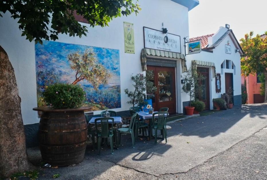 Casa Di Claudia Daire Arnasco Dış mekan fotoğraf